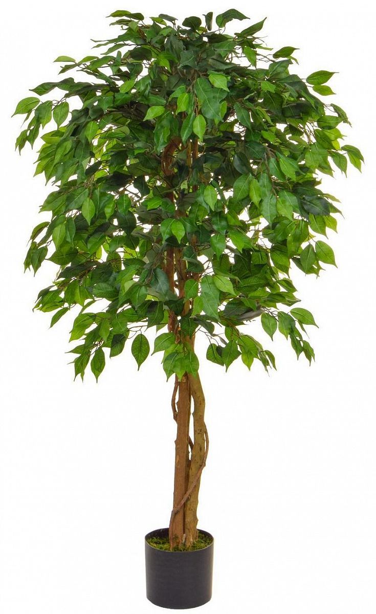 Ficus Contract Artificial Tree Plant