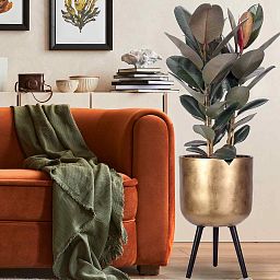 IDEALIST Lite Round Planter on Legs, Round Pot Plant Stand Indoor