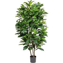 FICUS CYASTHISTIPULA Artificial Tree Plant