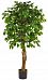 Ficus Contract Artificial Tree Plant