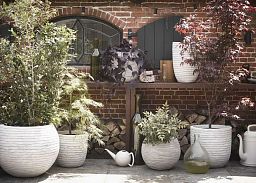 Round Egg Resin Planter by Cadix Capi Tutch Row