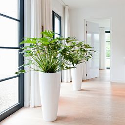 Fiberstone Glossy Dax Planter by Idealist Premium
