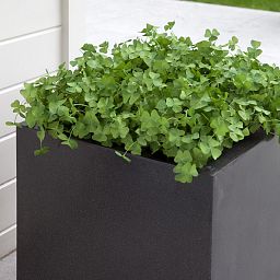 Square Fiberstone Contemporary Planter by Cadix Capi Lux