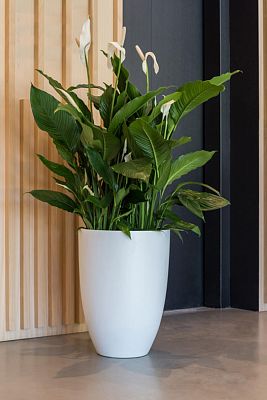 Fibrestone Ben Tall Planter by Idealist Premium