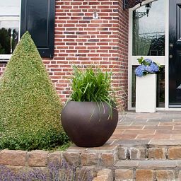 Ceramic Bowl Matte Planter Pot In/Out
