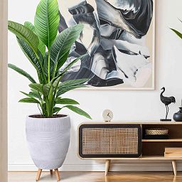 IDEALIST Lite Striped Egg Planter on Legs, Round Pot Plant Stand Indoor