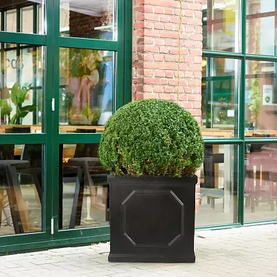 IDEALIST Lite Faux Lead Chelsea Box Square Light Concrete Planter