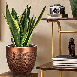 IDEALIST Lite Mesh Style Round Indoor Planter