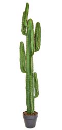 Cactus with Brown Pot YF Artificial Flower Plant