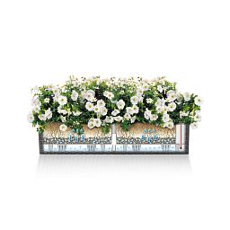 LECHUZA BALCONERA Cottage Trough Poly Resin Self-watering Planter Set
