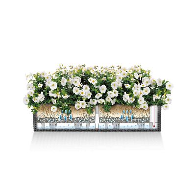 LECHUZA BALCONERA Cottage Trough Poly Resin Self-watering Planter Set