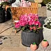IDEALIST Lite Vertical Ribbed Vintage Style Barrel Round Planter