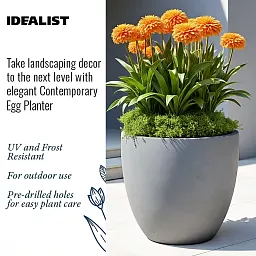 IDEALIST Lite Contemporary Light Concrete Egg Planter