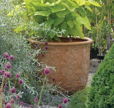 Pineapple Fiberglass Round Tall Terracotta Planter Pot In/Out