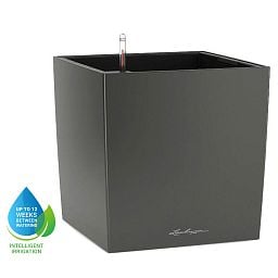 LECHUZA CUBE Square Poly Resin Self-watering Planter