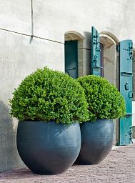 Fibrestone Jumbo Orb Round Planter by Idealist Premium