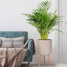 IDEALIST Lite Plaited Style Cylinder Planter on Legs, Round Pot Plant Stand Indoor