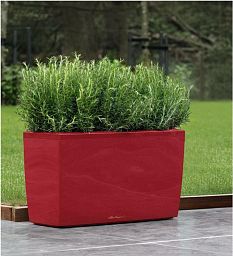 LECHUZA CARARO Trough Poly Resin Self-watering Planter