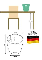Schefflera in LECHUZA CLASSICO LS Self-watering Planter, Total Height 60 cm