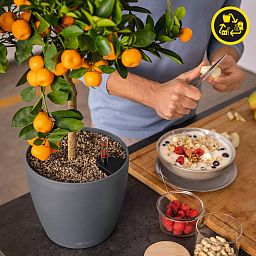 LECHUZA CLASSICO Color ECO Round PCR Plastic Self-watering Planter