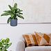 Honeycomb Style Table and Hanging Cylinder Round Plant Pot Dual Use Indoor Planter by Idealist Lite
