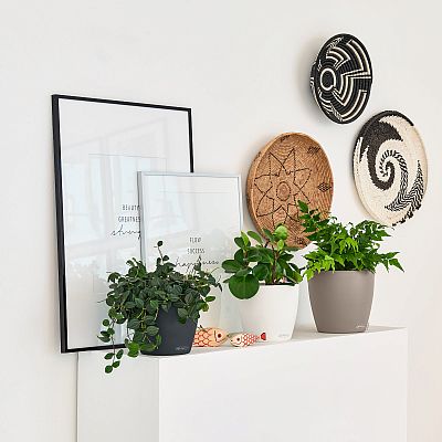 LECHUZA CLASSICO Color Round Poly Resin Self-watering Planter