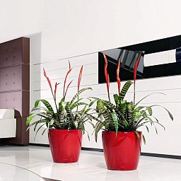LECHUZA CLASSICO Round Poly Resin Planter Only