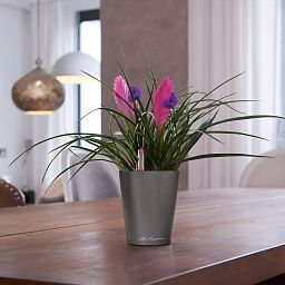 LECHUZA DELTINI|MINI-DELTINI Round Poly Resin Indoor Self-watering Planter