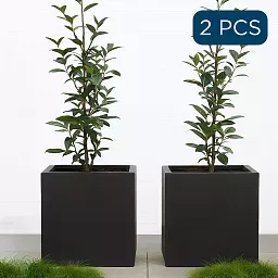 IDEALIST Lite Square Box Contemporary Light Concrete Planter Set