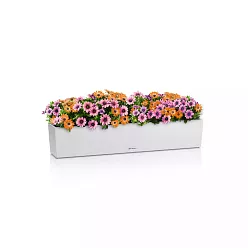 LECHUZA BALCONERA Stone Trough Poly Resin Self-watering Planter