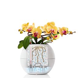 LECHUZA PURO Color Round Poly Resin Self-watering Planter