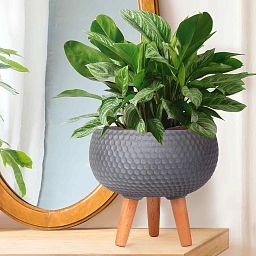 IDEALIST Lite Honeycomb Style Bowl Planter on Legs, Round Pot Plant Stand Indoor