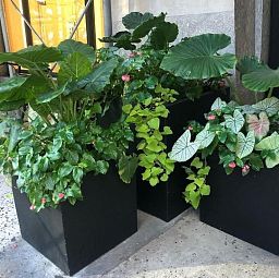 IDEALIST Lite Square Box Contemporary Light Concrete Planter