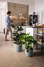 LECHUZA CLASSICO Color ECO Round PCR Plastic Self-watering Planter