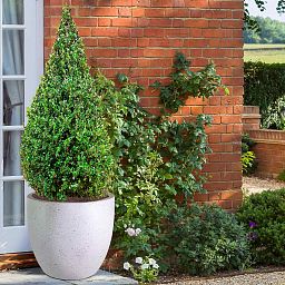 IDEALIST Lite Contemporary Light Concrete Egg Planter