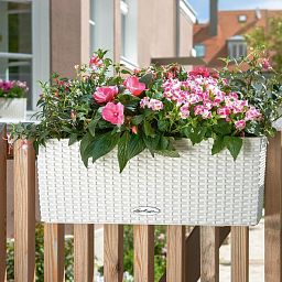 LECHUZA BALCONERA Cottage Trough Poly Resin Self-watering Planter Set