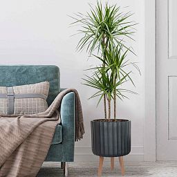IDEALIST Lite Modern Ribbed Cylinder Planter on Legs, Round Pot Plant Stand Indoor
