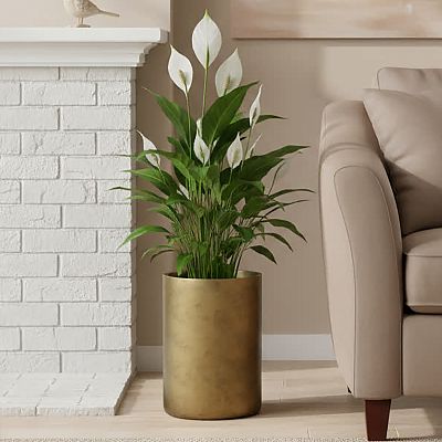 IDEALIST Lite Tall Round Metallic Indoor Planter