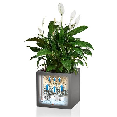 LECHUZA CANTO Low Square Poly Resin Self-watering Planter
