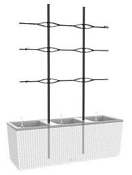 LECHUZA Trellis for TRIO