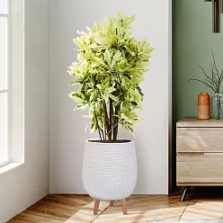 IDEALIST Lite Honeycomb Style Egg Planter on Legs, Round Pot Plant Stand Indoor