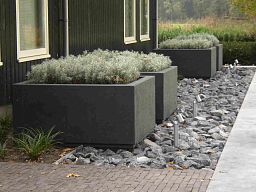 PURE Low Cube Outdoor Fiberglass Planter
