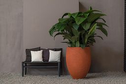 Fibrestone Bond Round Planter by Idealist Premium