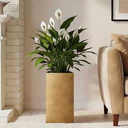 IDEALIST Lite Tall Square Metallic Indoor Planter