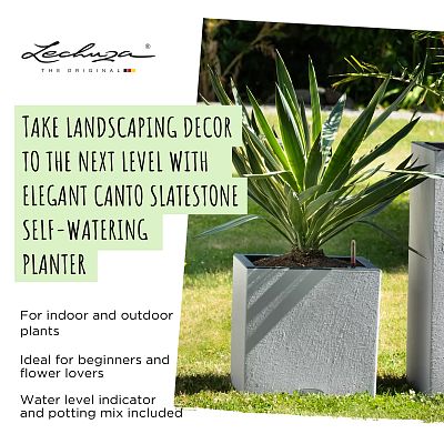 LECHUZA CANTO Slatestone Low Square Poly Resin Self-watering Planter