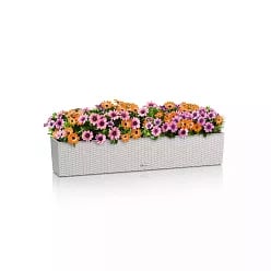 LECHUZA BALCONERA Cottage Trough Poly Resin Self-watering Planter