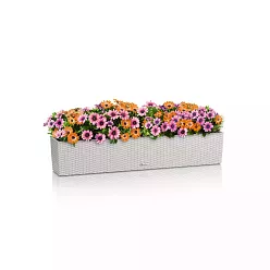 LECHUZA BALCONERA Cottage Trough Poly Resin Self-watering Planter