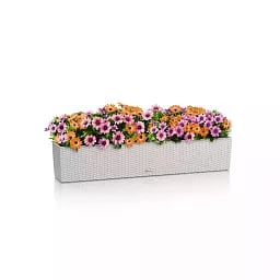 LECHUZA BALCONERA Cottage Trough Poly Resin Self-watering Planter
