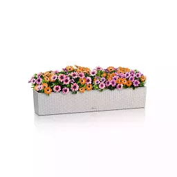 LECHUZA BALCONERA Cottage Trough Poly Resin Self-watering Planter