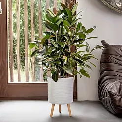 IDEALIST Lite Plaited Style Cylinder Planter on Legs, Round Pot Plant Stand Indoor